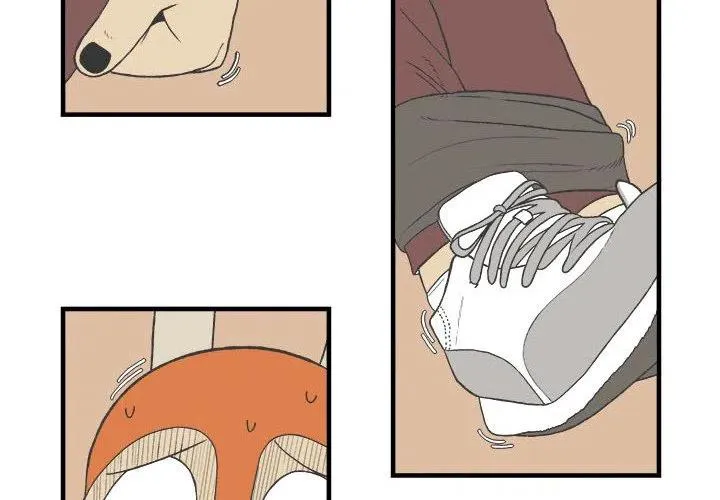 27 第2页