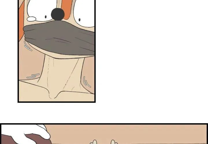 27 第3页