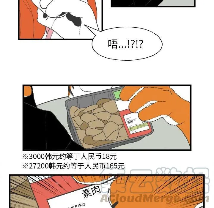 27 第13页