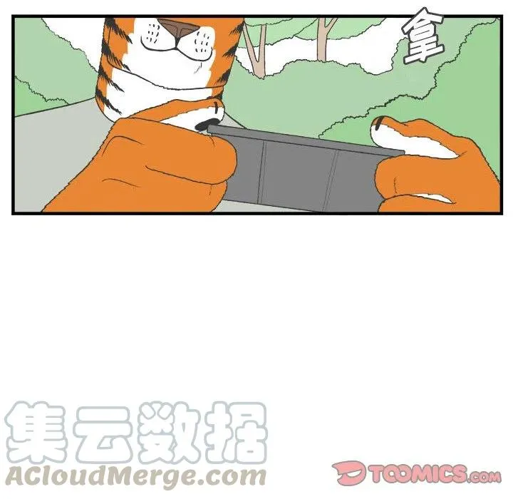 27 第16页