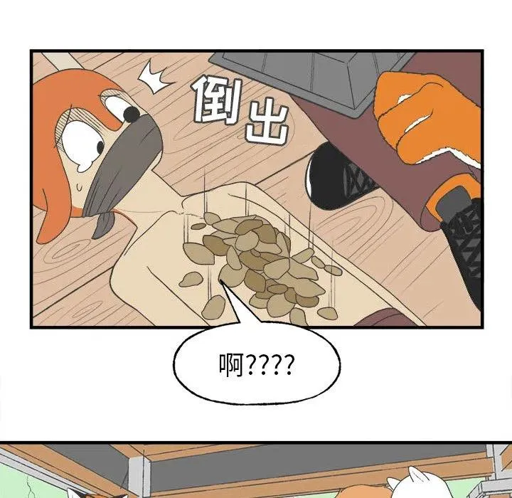 27 第17页