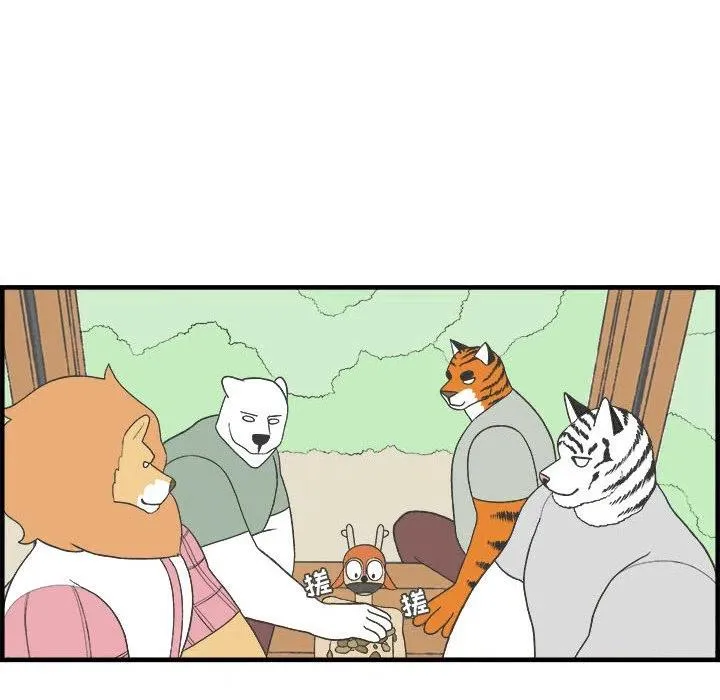 27 第24页