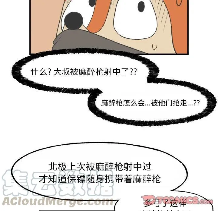 27 第31页