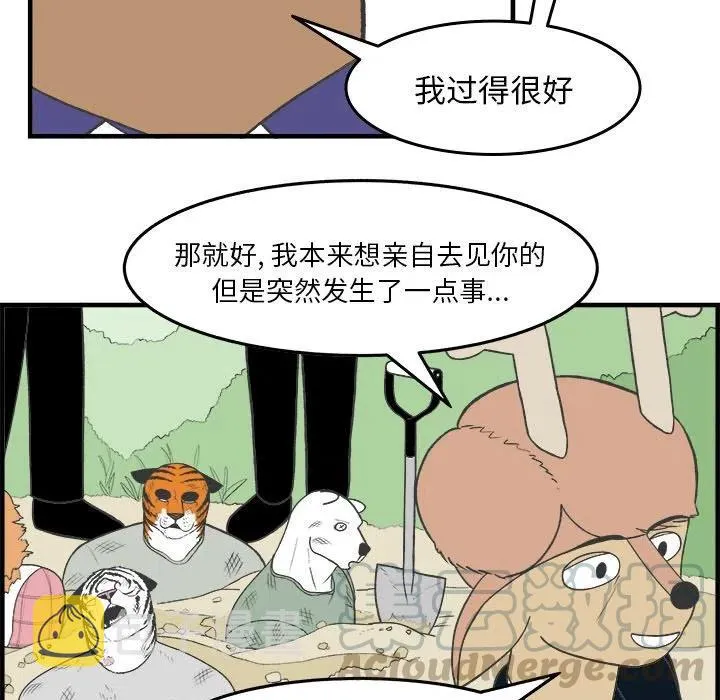28 第13页