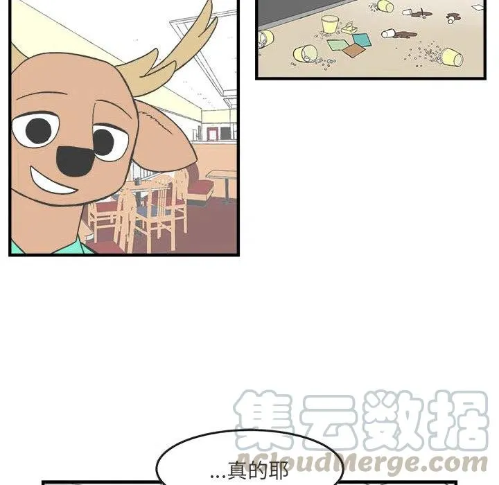 28 第22页