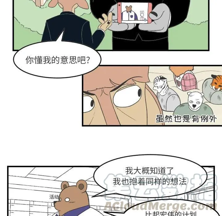 28 第25页