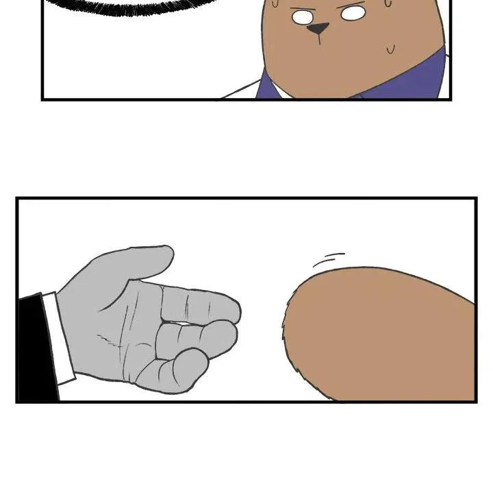 28 第33页