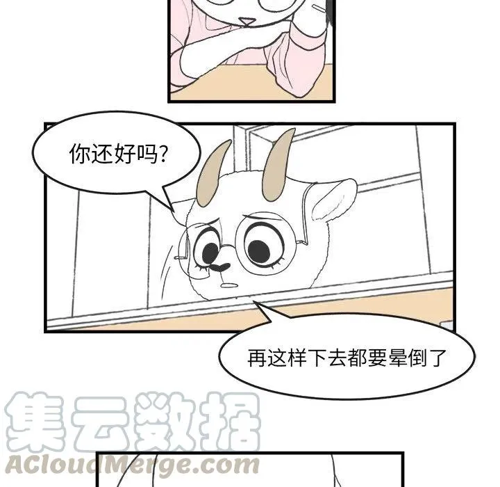 28 第43页