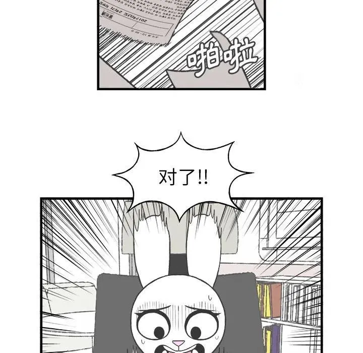 28 第50页