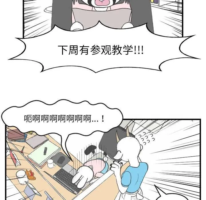 28 第51页
