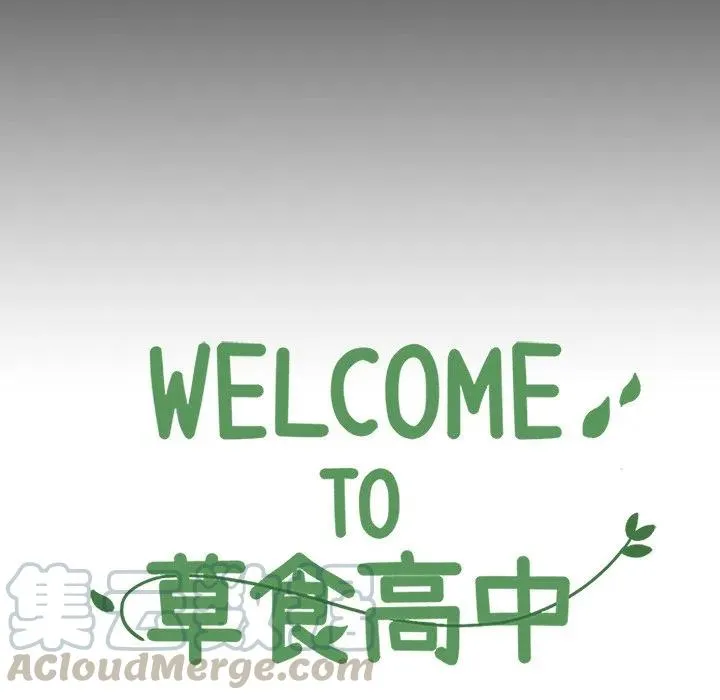 29 第31页