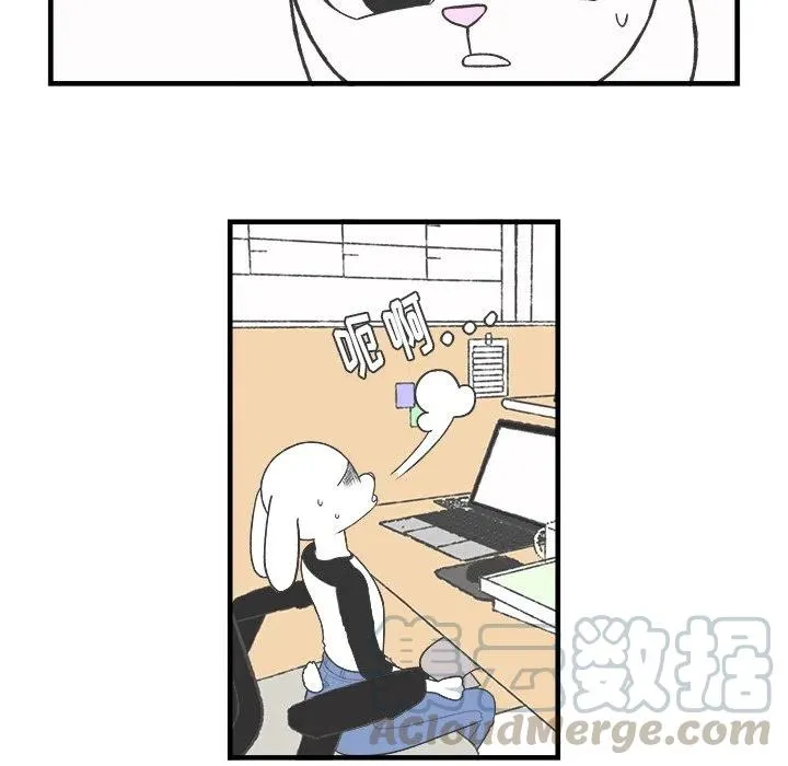 29 第35页