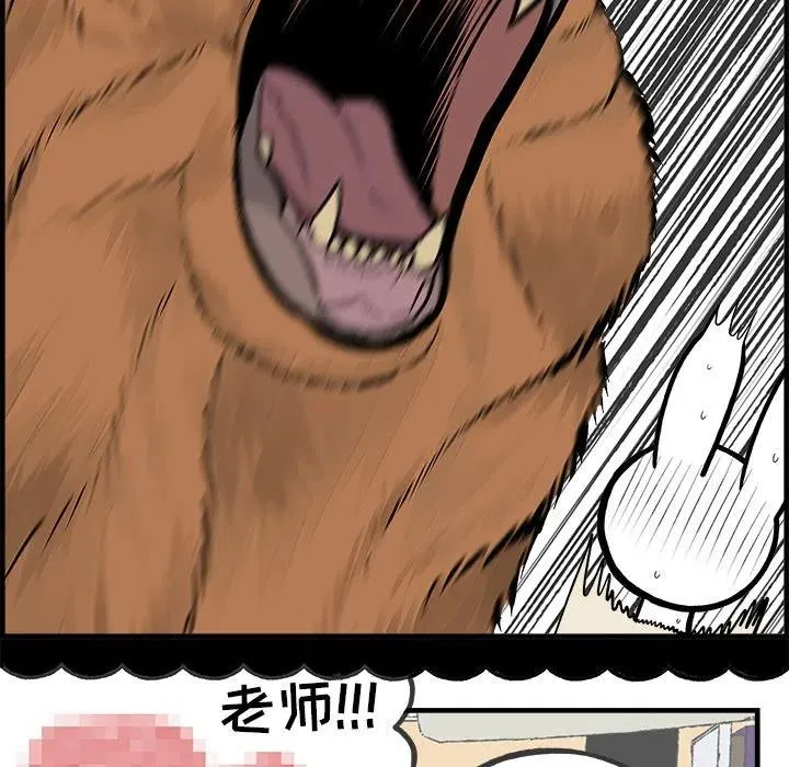 29 第40页
