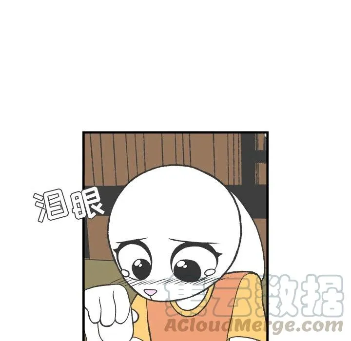30 第17页