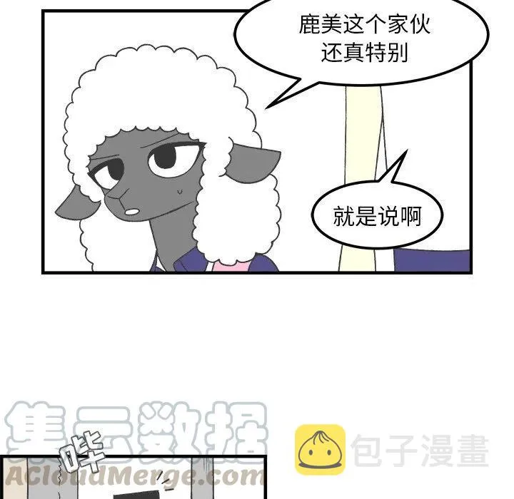 33 第17页