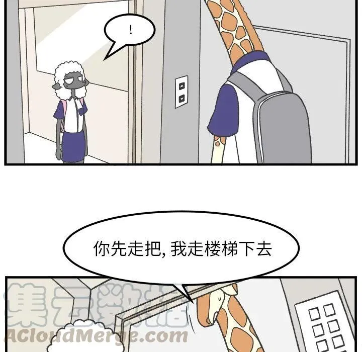33 第19页