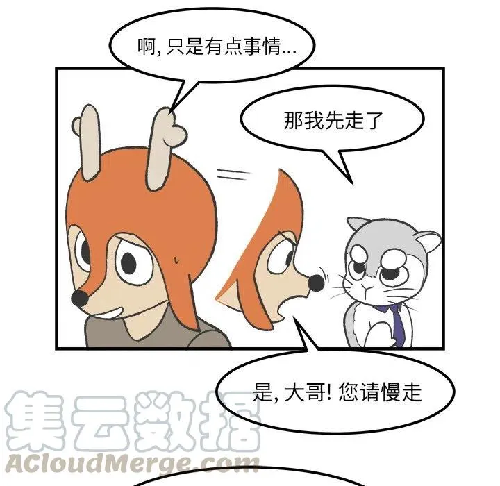 33 第31页