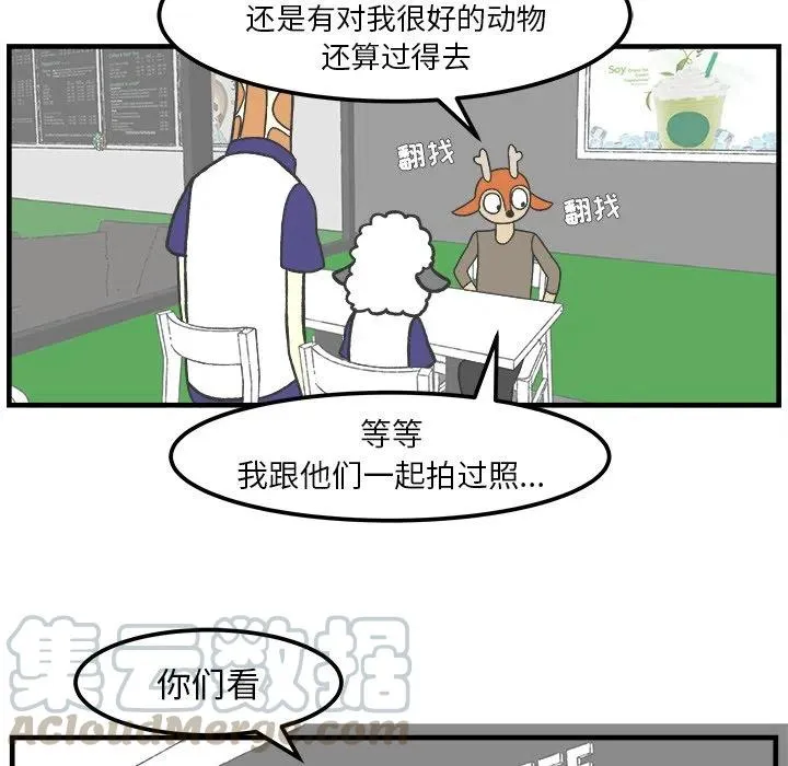 33 第41页