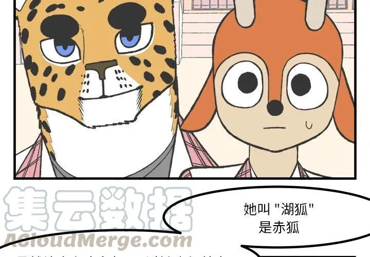 34 第3页