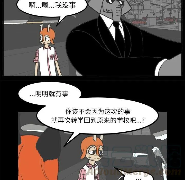 34 第41页