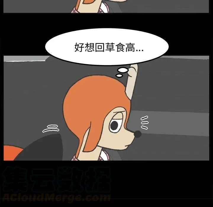 35 第9页
