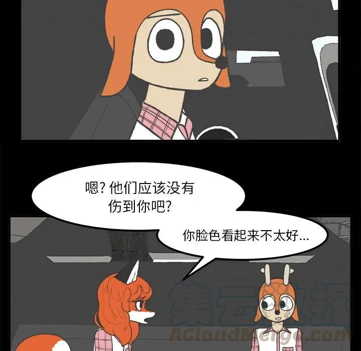 35 第11页