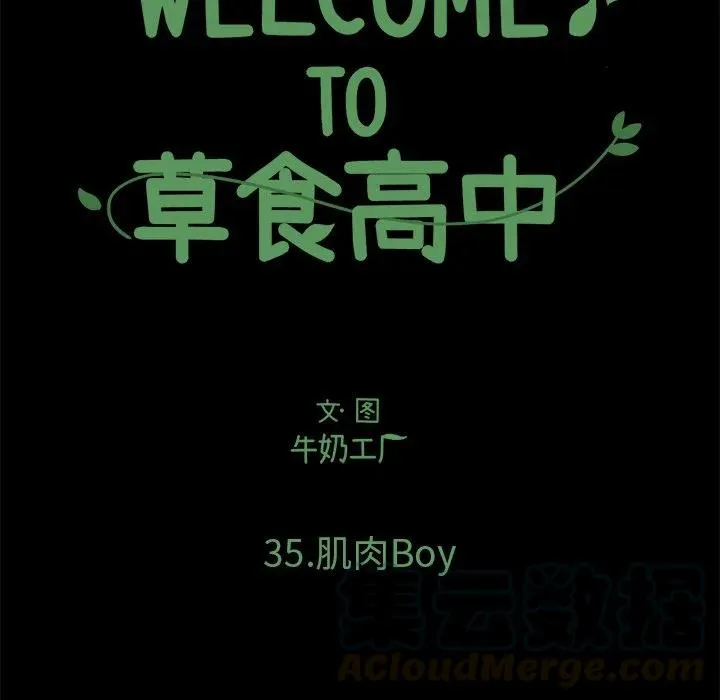 35 第17页