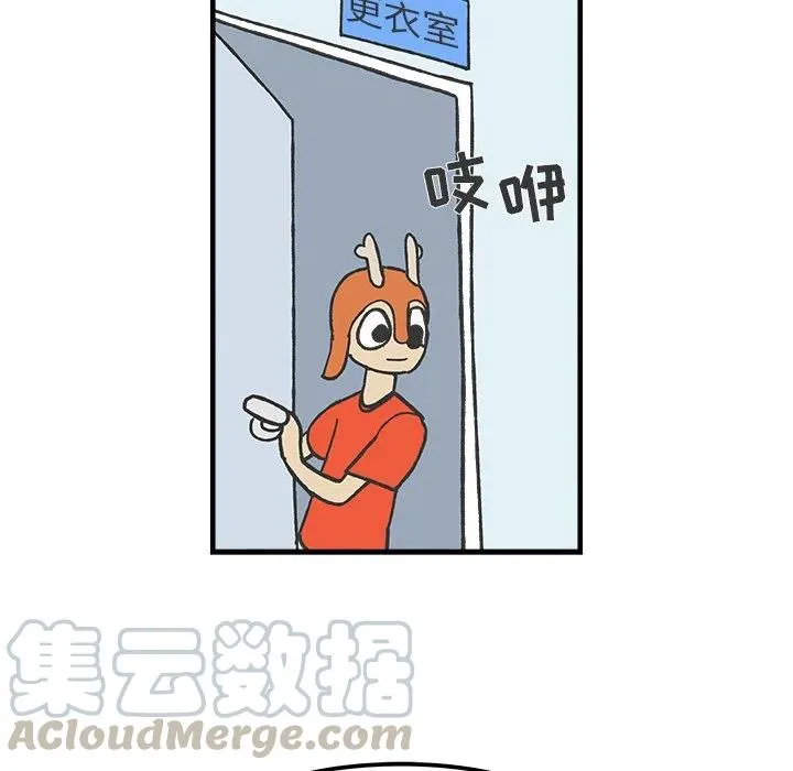 35 第37页