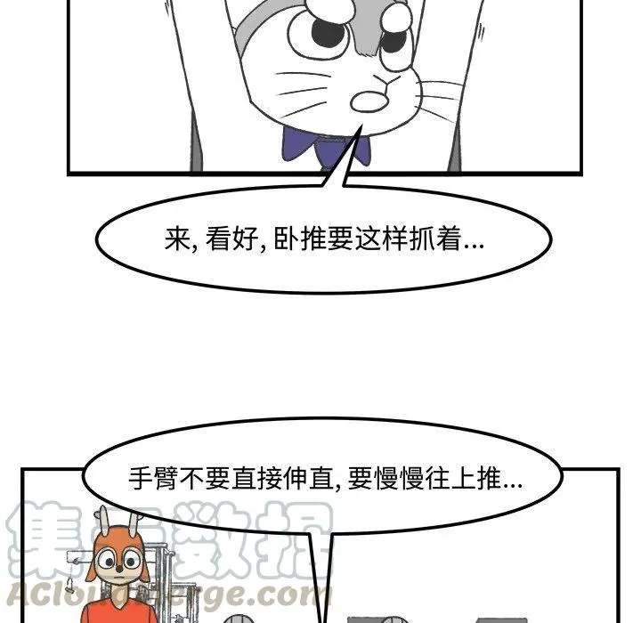 36 第17页
