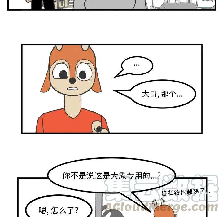 36 第19页