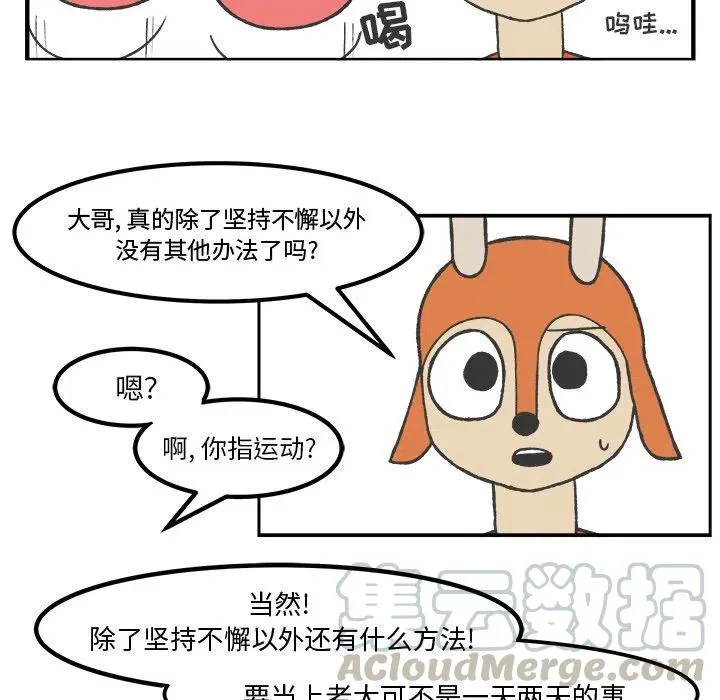 36 第33页