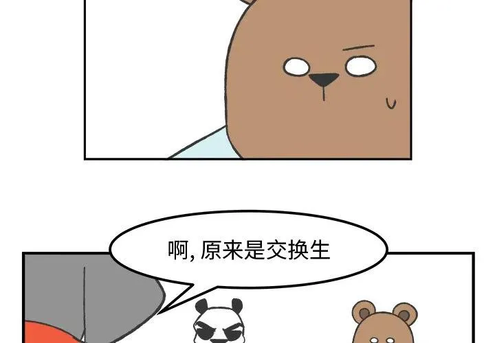 37 第4页