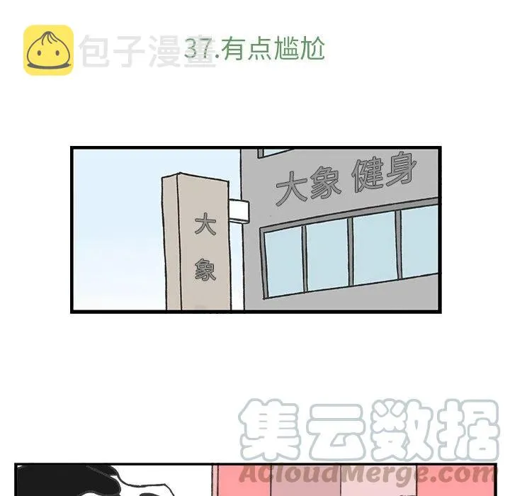 37 第7页