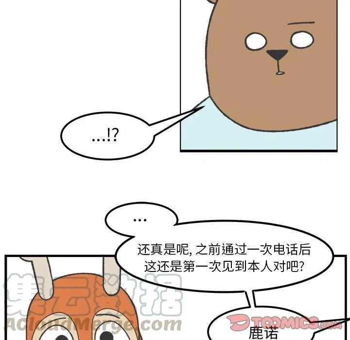 37 第13页