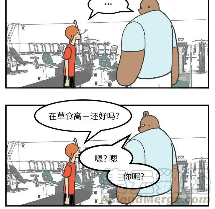 37 第17页