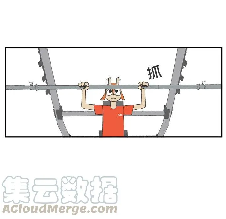37 第23页