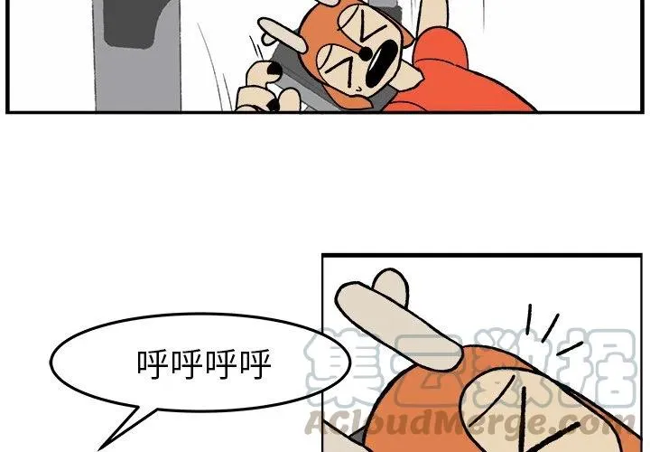 38 第3页