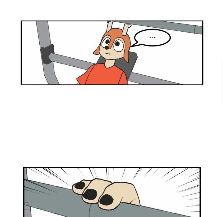 38 第10页