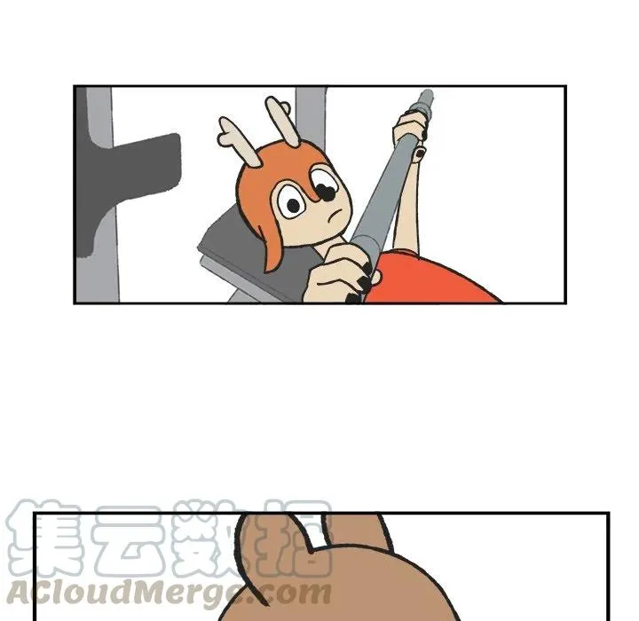 38 第15页