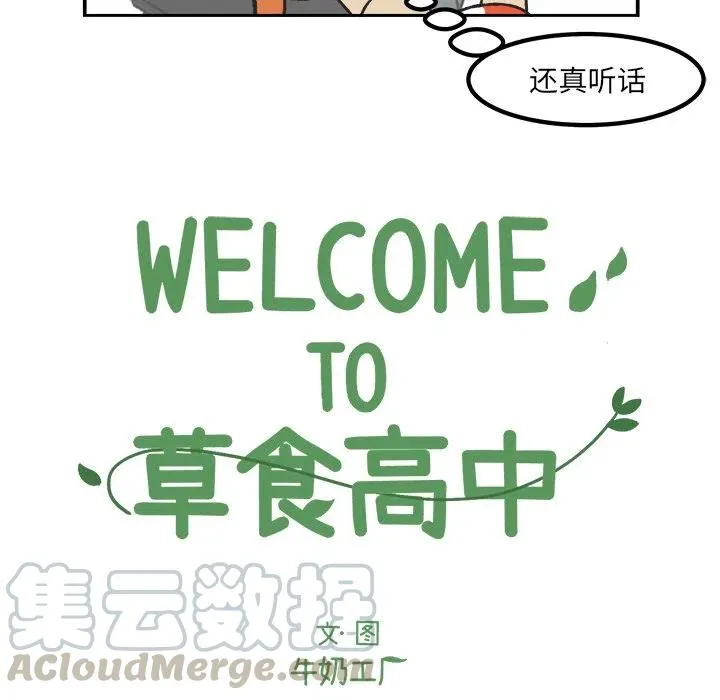 38 第17页