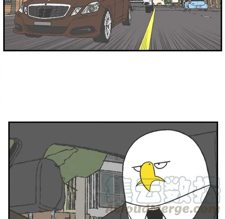 39 第19页