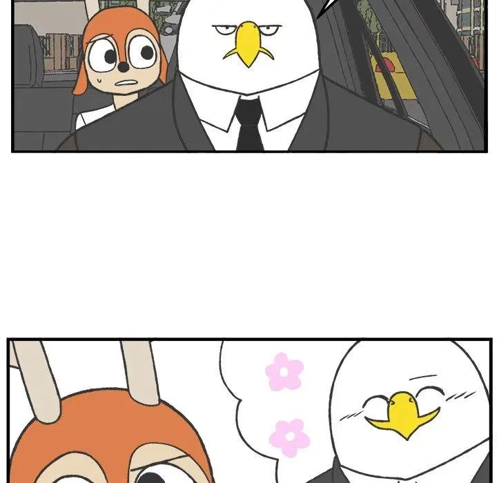 39 第48页