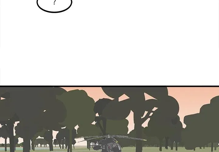 40 第3页