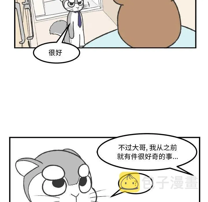 40 第17页