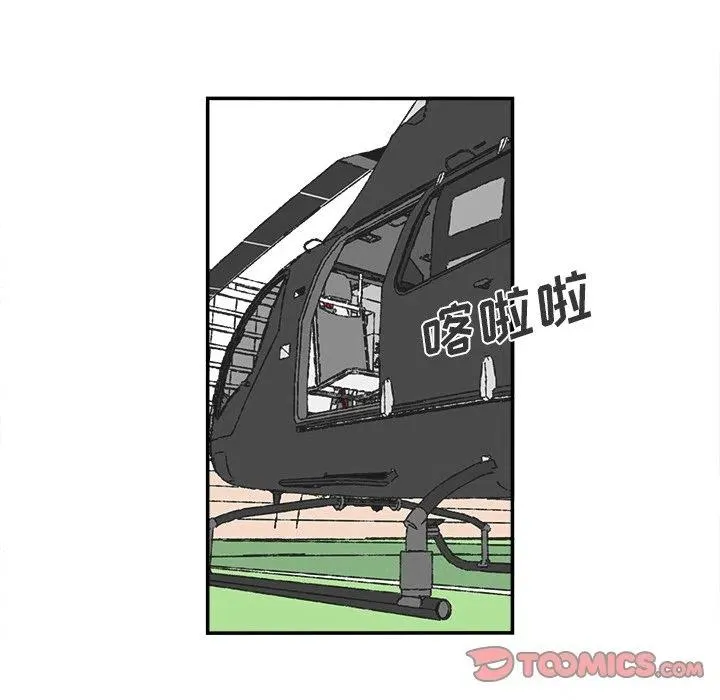 40 第41页