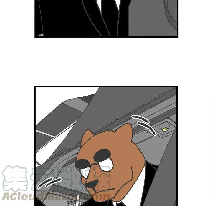 40 第43页
