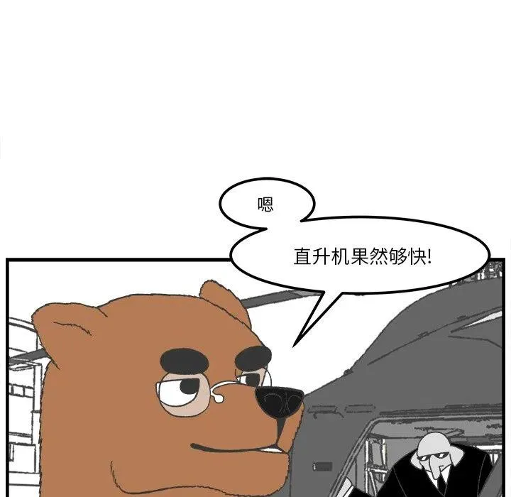 40 第45页