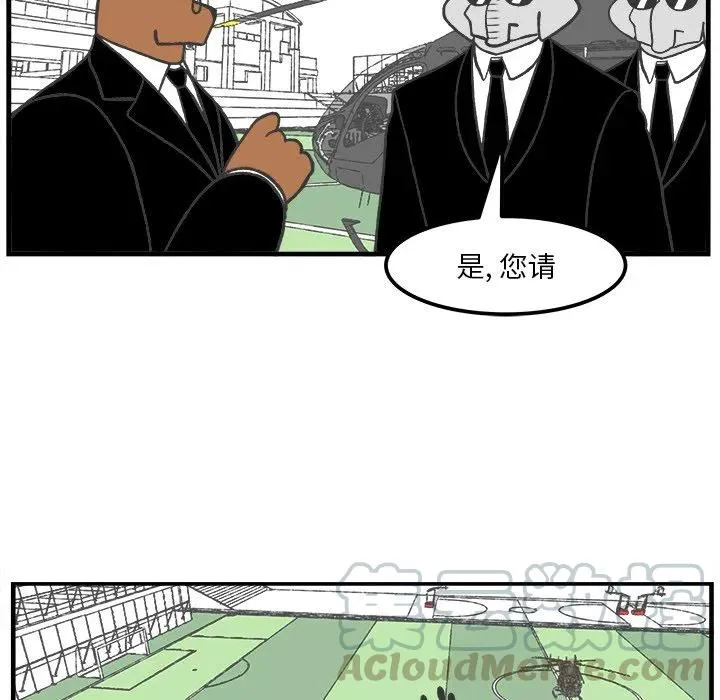 40 第49页