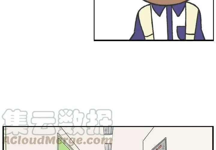 41 第4页