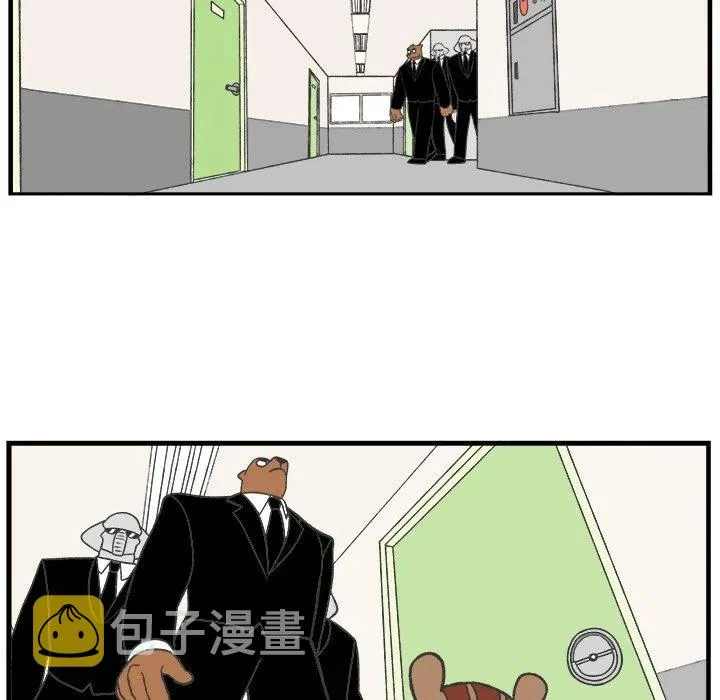 41 第5页